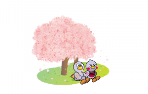 桜コバトン
