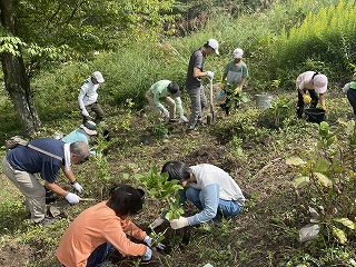 植栽の全体の様子。いくつかの箇所で植栽をしている様子。斜面の上から撮影。