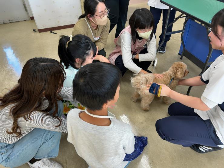 動物1