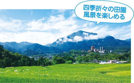 寺坂棚田は四季折々の田園風景を楽しめます。