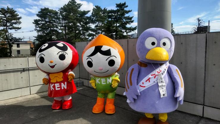 コバトン写真