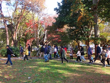 紅葉の園内をめぐる