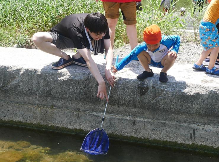 網で魚を捕まえようとしている様子