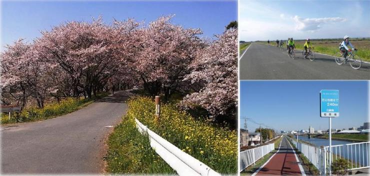 大規模自転車道の風景