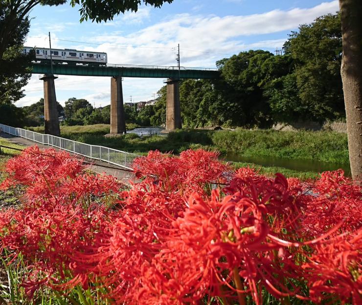 入間川4