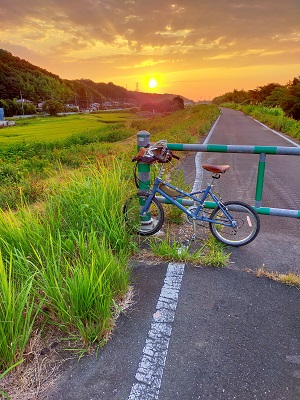 写真：真夏の朝散歩