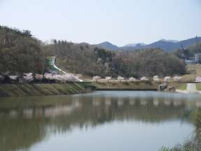 防災調節右岸の写真