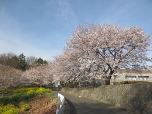 遺跡の森総合公園