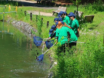 水生生物の採取