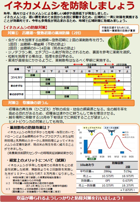 R7.3月イネカメチラシ画像
