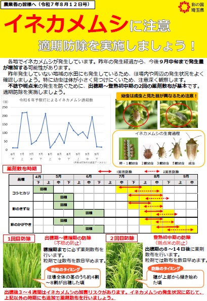 R7.8イネカメ啓発チラシ