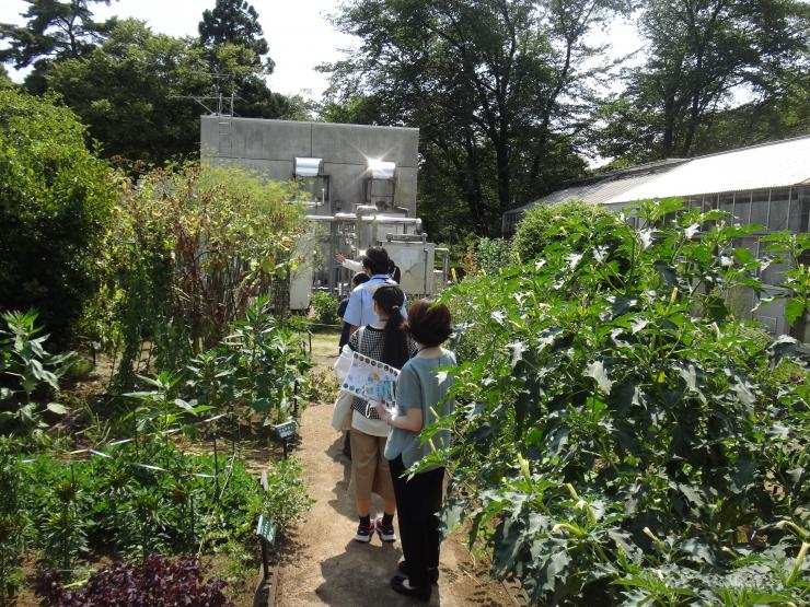 薬用植物園見学