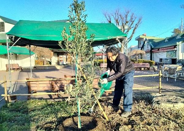 植樹活動