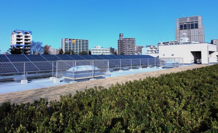 太陽光発電設備と屋上緑化