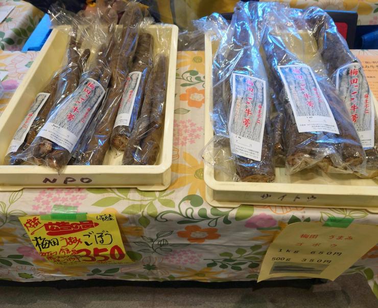 写真:梅田ごぼう
