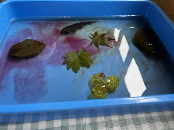 葉を水に浸している様子