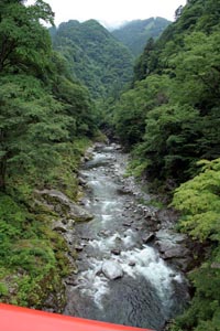 橋から荒川をのぞむ写真