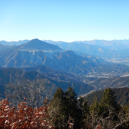県民の森からの景色の写真