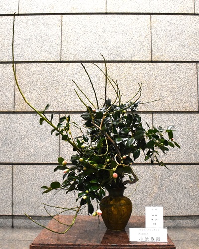 生け花の写真