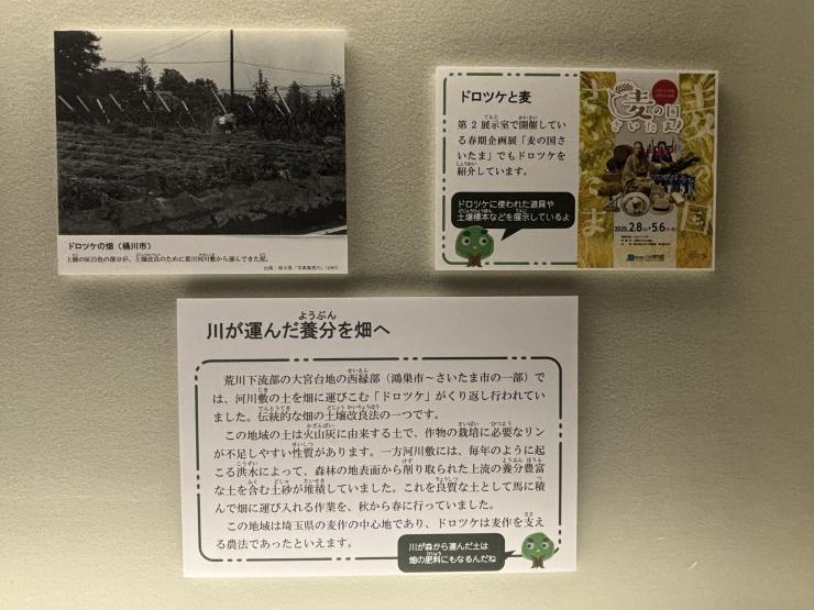 展示5