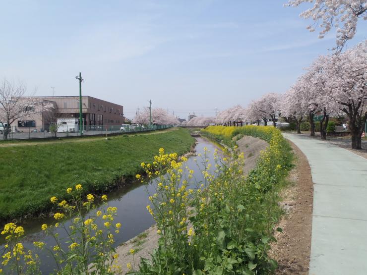 まるごと再生遊歩道