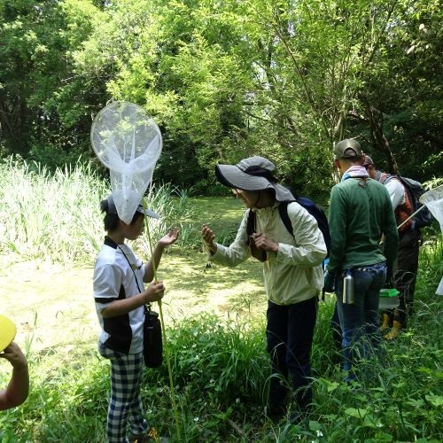 虫探しをしている写真