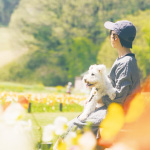 埼玉県広報アンバサダーあつまれ！埼玉犬民さんの写真