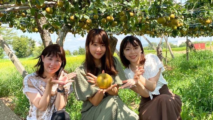 わっしょい大使の活動の様子