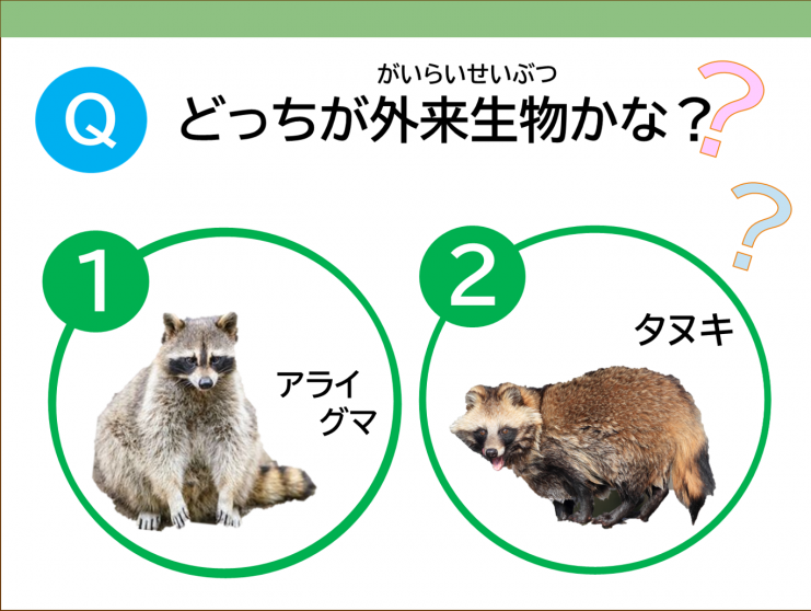 kuizu