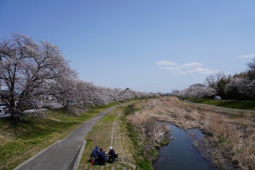 千本桜2