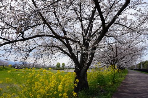 間瀬堰堤3