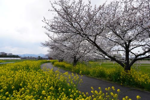 間瀬堰堤2