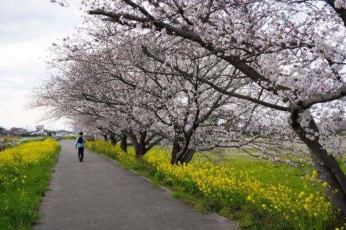 間瀬堰堤4