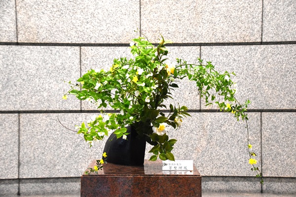 生け花の写真