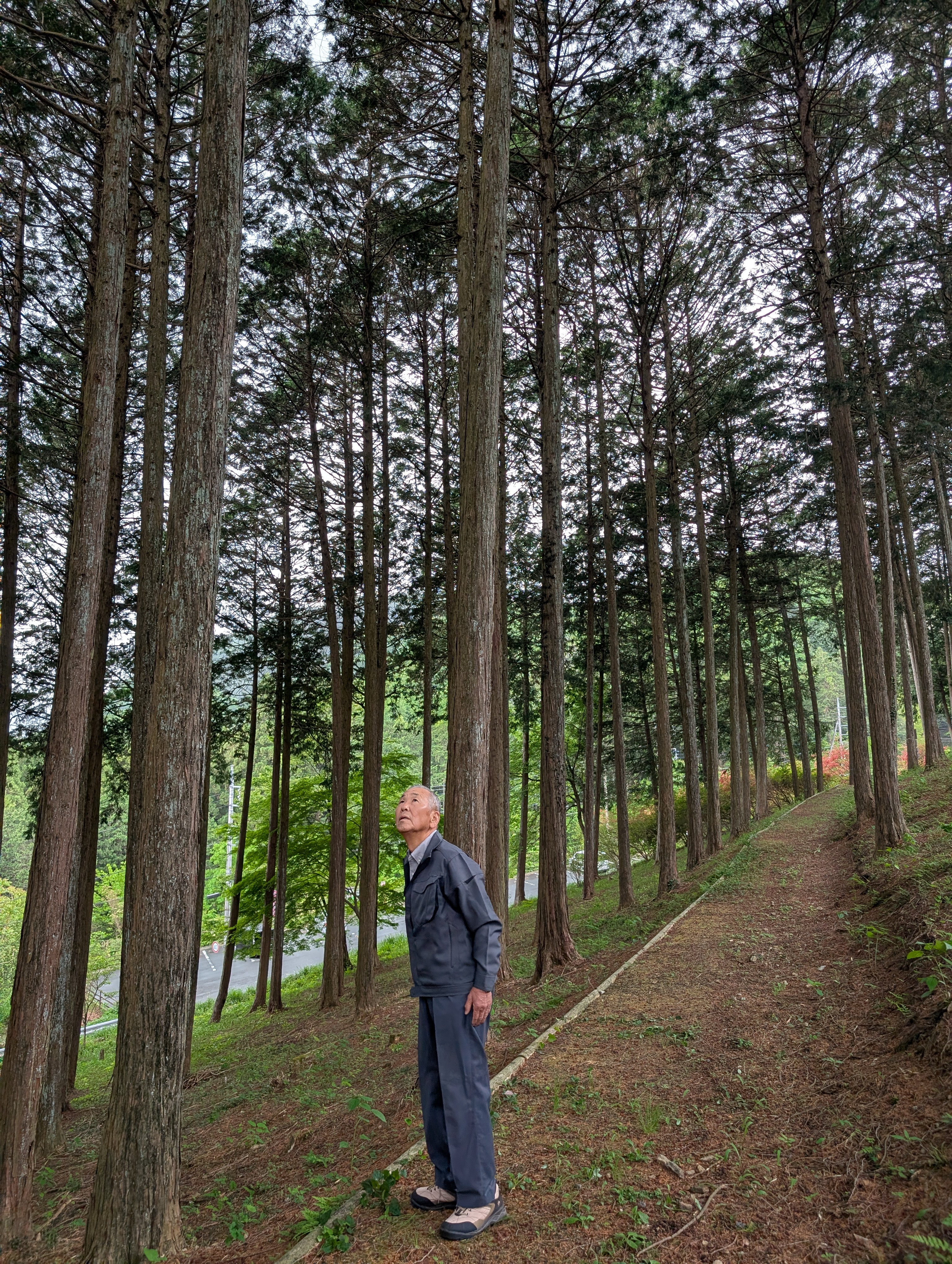 第10回の全国植樹祭で植樹をした矢部さんの写真