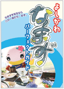 よしかわなまずパーフェクトガイドの画像