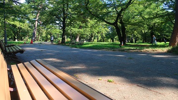 自由広場ベンチ