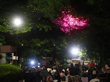 樹間に見える花火