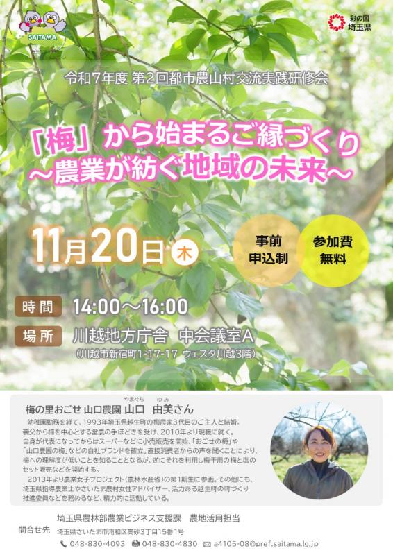 1120チラシ画像