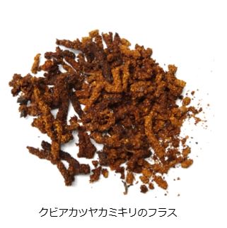CESSクビアカフラス