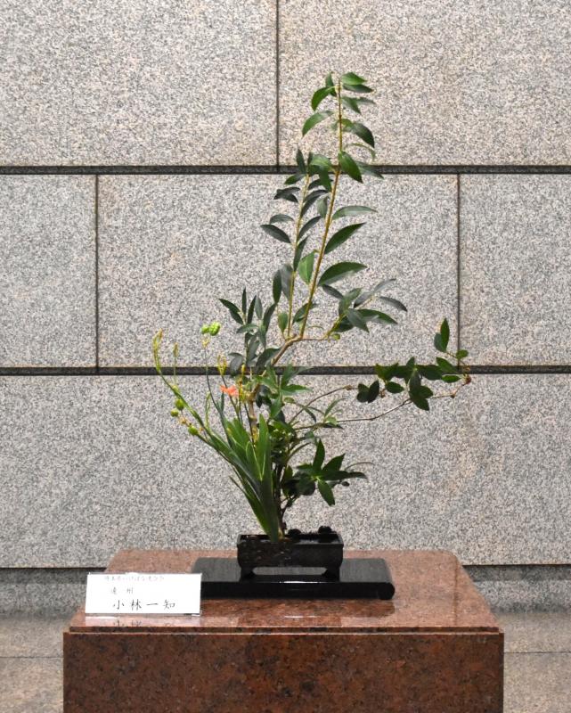生け花の写真