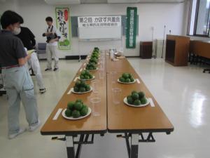 kabosu1