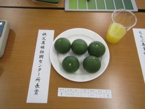 kabosu3
