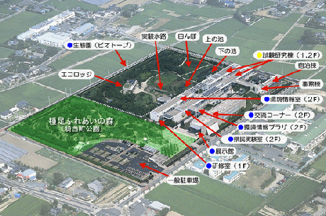 環境科学国際センター全景