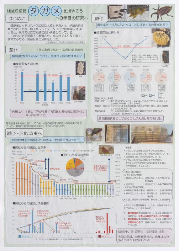 第72回全国入選一席第6部知事賞