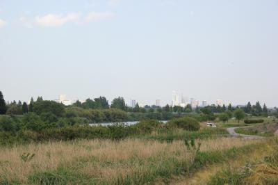 下流の風景