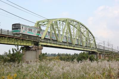 すすきの風景と電車