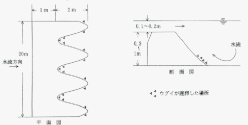 産卵床の構造を表した図