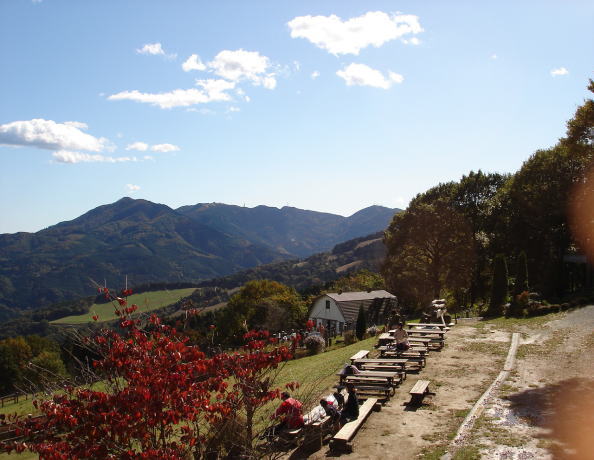 牧場からの景色・南東方面