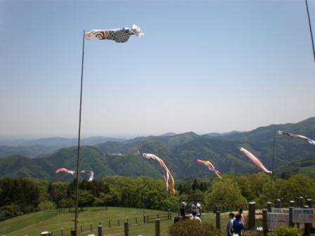 牧場の春風景